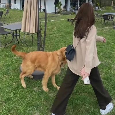 猎恶游戏泰语